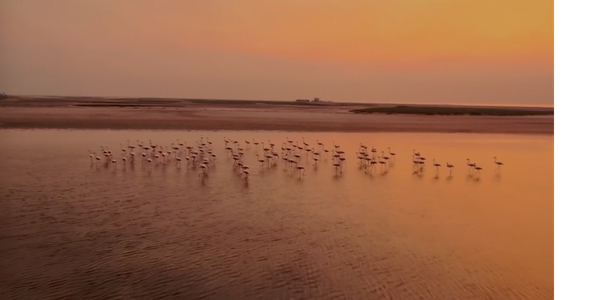 Photo drone paysages spectaculaires
